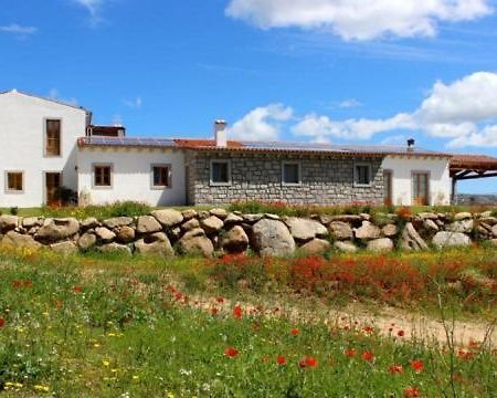 Tenute Testoni Agriturismo E B&B Bassacutena Kültér fotó