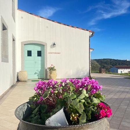 Tenute Testoni Agriturismo E B&B Bassacutena Kültér fotó